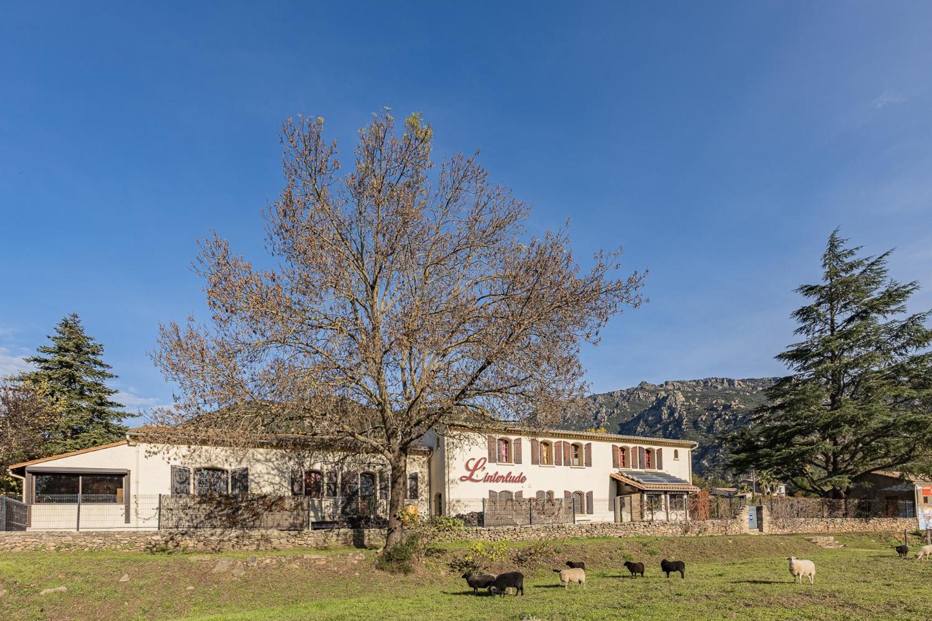 Bed and Breakfast L'Interlude Mons  Екстер'єр фото